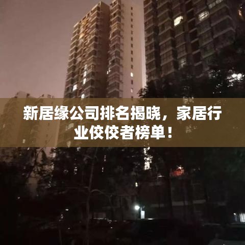 轻徙鸟举 第2页