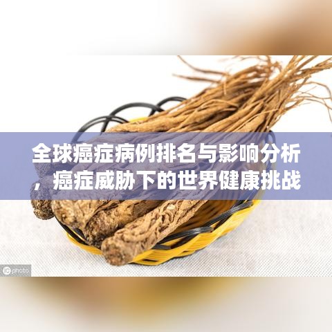 全球癌症病例排名与影响分析，癌症威胁下的世界健康挑战