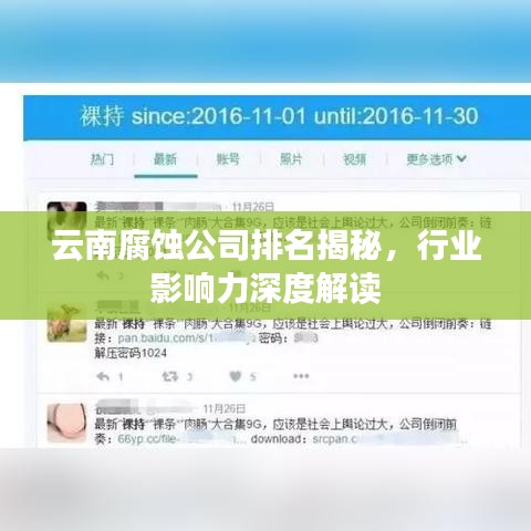 云南腐蚀公司排名揭秘，行业影响力深度解读