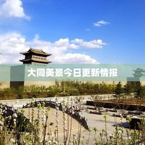 大同美景今日更新情报