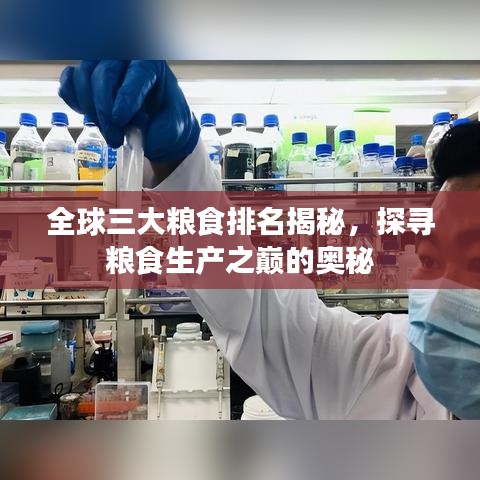 全球三大粮食排名揭秘，探寻粮食生产之巅的奥秘