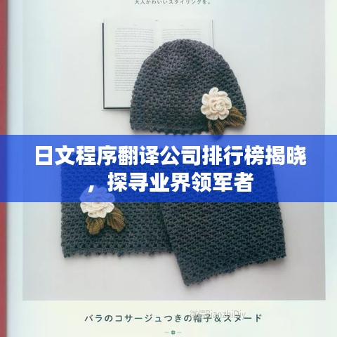 日文程序翻译公司排行榜揭晓，探寻业界领军者