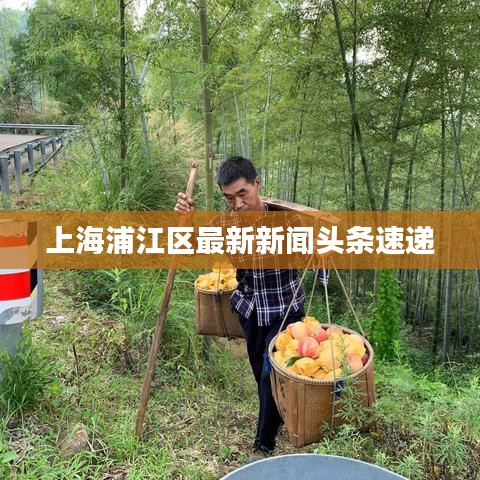 上海浦江区最新新闻头条速递