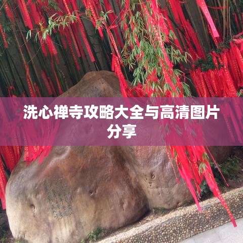 张皇失措 第2页