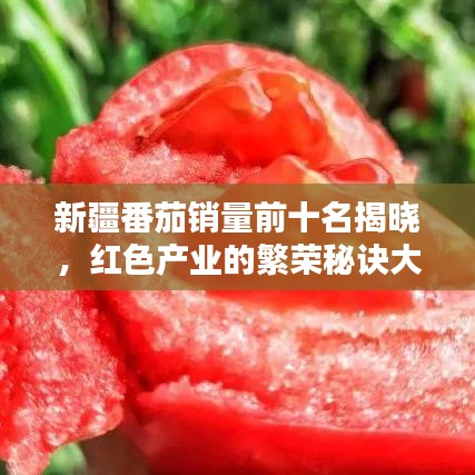 新疆番茄销量前十名揭晓，红色产业的繁荣秘诀大揭秘