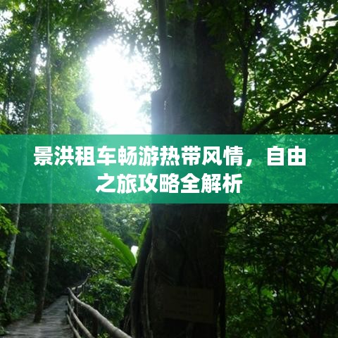 景洪租车畅游热带风情，自由之旅攻略全解析