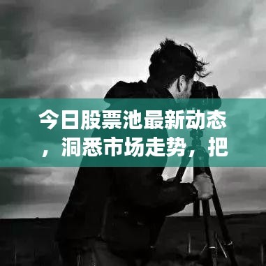 今日股票池最新动态，洞悉市场走势，把握黄金投资机会