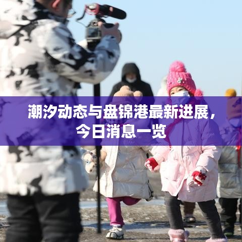 潮汐动态与盘锦港最新进展，今日消息一览