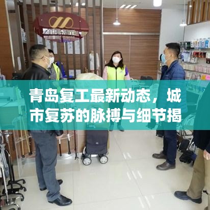 青岛复工最新动态，城市复苏的脉搏与细节揭秘