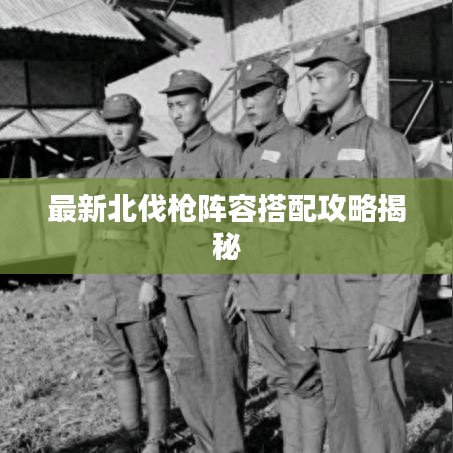 最新北伐枪阵容搭配攻略揭秘