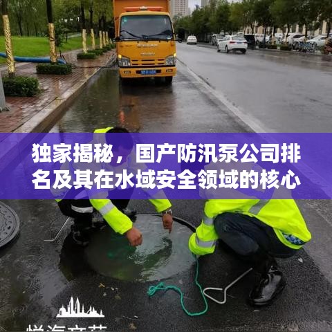 独家揭秘，国产防汛泵公司排名及其在水域安全领域的核心地位