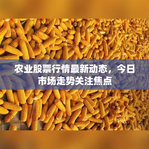 农业股票行情最新动态，今日市场走势关注焦点
