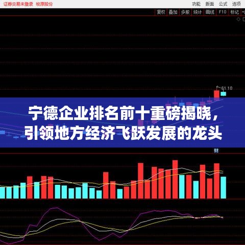 宁德企业排名前十重磅揭晓，引领地方经济飞跃发展的龙头企业！