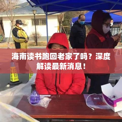 海南读书跑回老家了吗？深度解读最新消息！