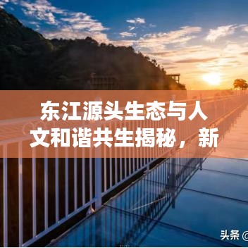 东江源头生态与人文和谐共生揭秘，新闻头条带你探寻源头魅力