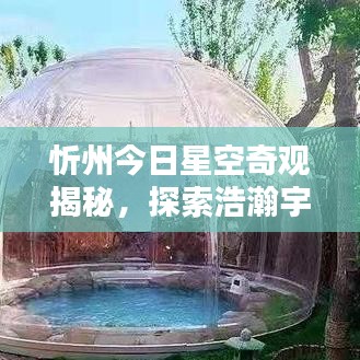 眉飞色舞 第3页