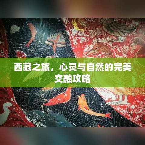 西藏之旅，心灵与自然的完美交融攻略