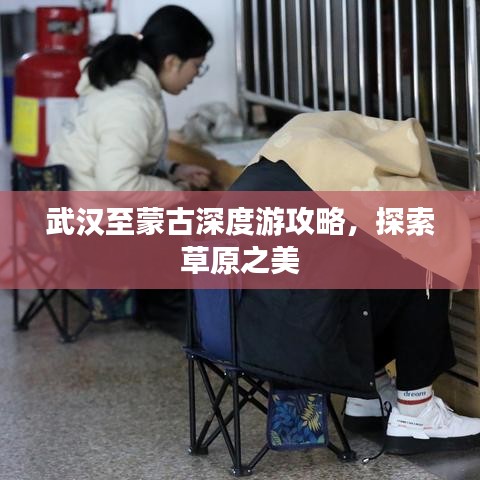 武汉至蒙古深度游攻略，探索草原之美