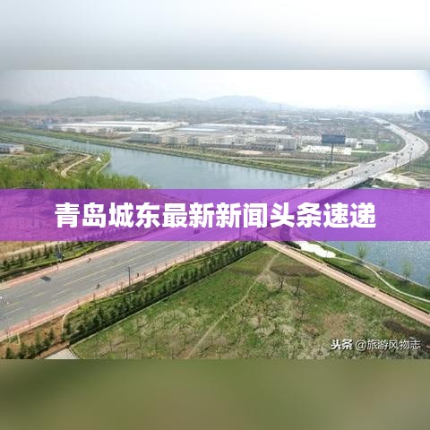青岛城东最新新闻头条速递