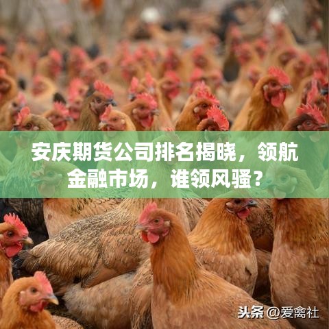 安庆期货公司排名揭晓，领航金融市场，谁领风骚？