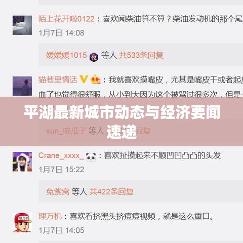平湖最新城市动态与经济要闻速递