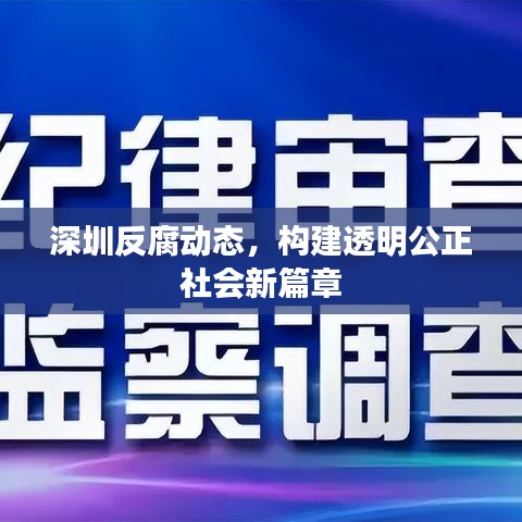 深圳反腐动态，构建透明公正社会新篇章