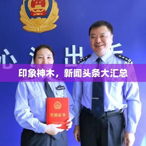 印象神木，新闻头条大汇总