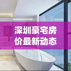 深圳豪宅房价最新动态，市场走势深度解析，降价趋势显露？