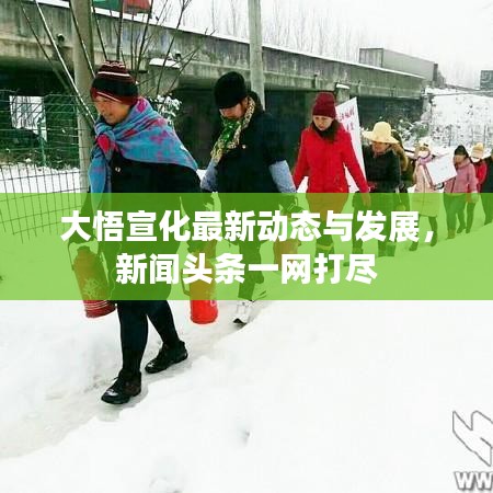 大悟宣化最新动态与发展，新闻头条一网打尽
