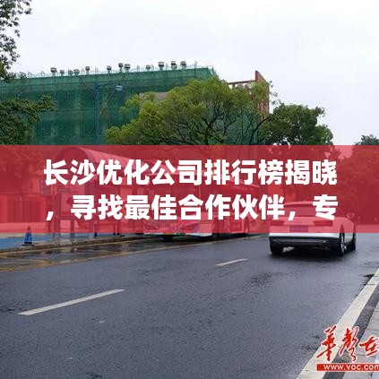 长沙优化公司排行榜揭晓，寻找最佳合作伙伴，专业团队一网打尽！