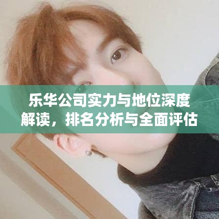 乐华公司实力与地位深度解读，排名分析与全面评估