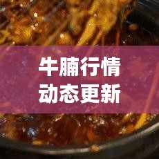 牛腩行情动态更新，今日价格走势与市场深度分析