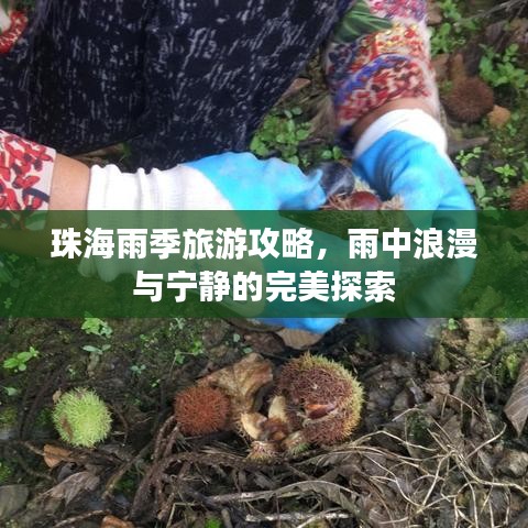 珠海雨季旅游攻略，雨中浪漫与宁静的完美探索