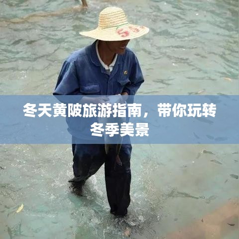 冬天黄陂旅游指南，带你玩转冬季美景