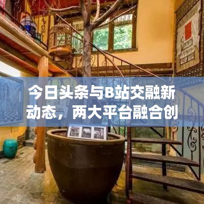 今日头条与B站交融新动态，两大平台融合创新探索之路
