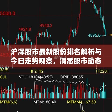 沪深股市最新股份排名解析与今日走势观察，洞悉股市动态，把握投资机会