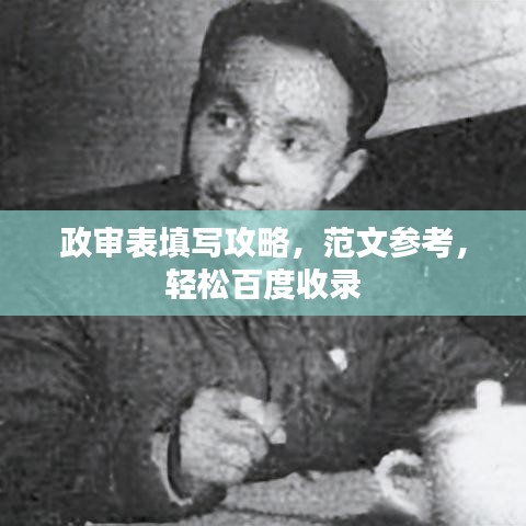 政审表填写攻略，范文参考，轻松百度收录