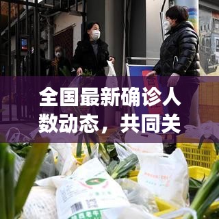 全国最新确诊人数动态，共同关注疫情进展