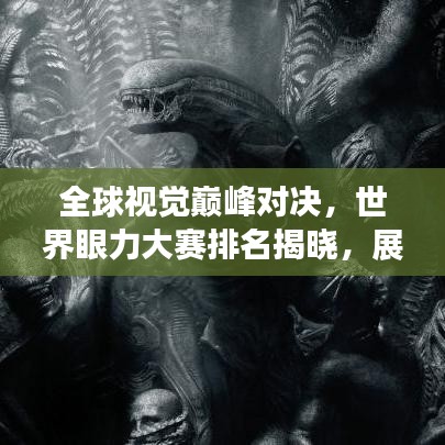 全球视觉巅峰对决，世界眼力大赛排名揭晓，展现超凡视觉能力！