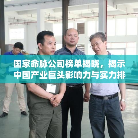 国家命脉公司榜单揭晓，揭示中国产业巨头影响力与实力排行