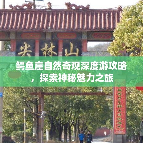 鳄鱼崖自然奇观深度游攻略，探索神秘魅力之旅