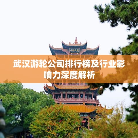 武汉游轮公司排行榜及行业影响力深度解析