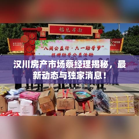 汉川房产市场蔡经理揭秘，最新动态与独家消息！