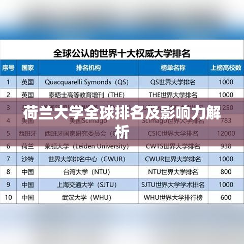 荷兰大学全球排名及影响力解析