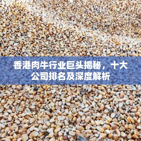 香港肉牛行业巨头揭秘，十大公司排名及深度解析