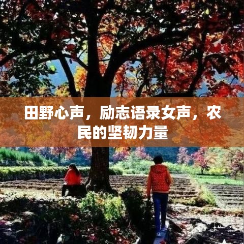 田野心声，励志语录女声，农民的坚韧力量