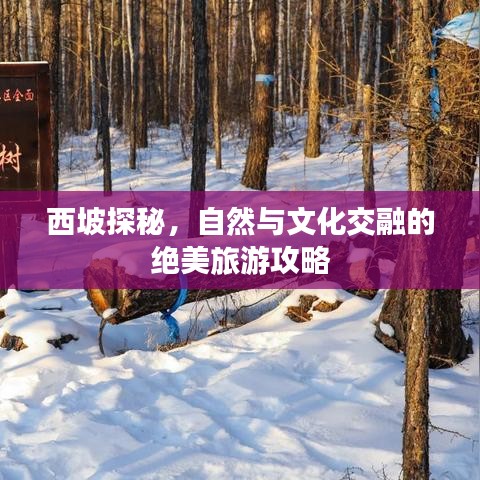 西坡探秘，自然与文化交融的绝美旅游攻略