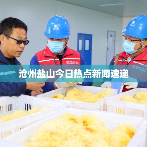 沧州盐山今日热点新闻速递