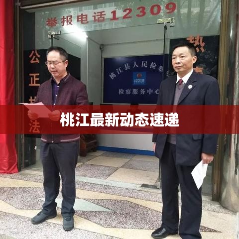 桃江最新动态速递