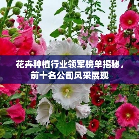 花卉种植行业领军榜单揭秘，前十名公司风采展现